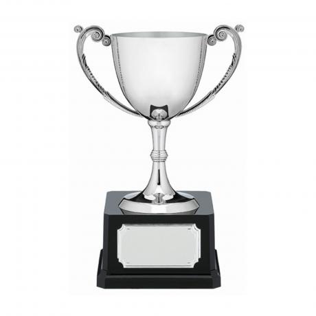Nickel_Plated_Cup_2023.jpg